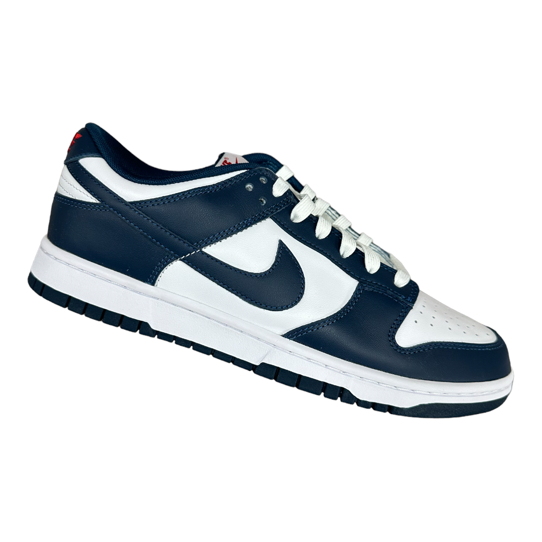 Nike Dunk Low Valerian Blue
